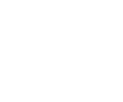 聚乳酸注塑仿瓷餐饮具