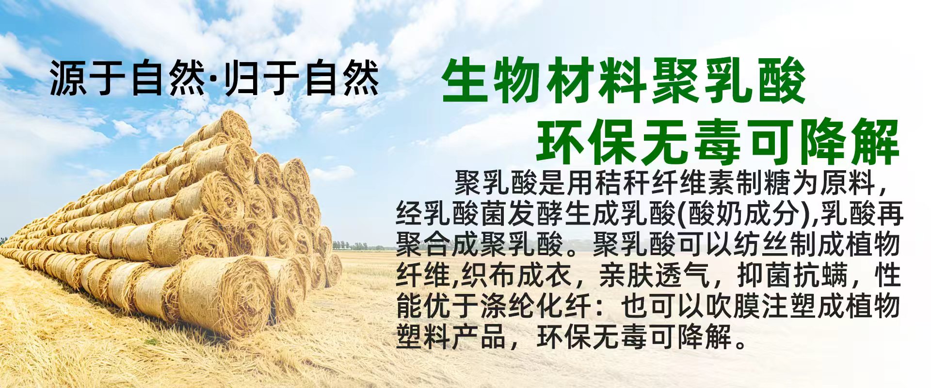 68013ab9e3dc24aefc430b46939c08a8.jpg