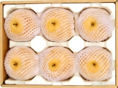 聚乳酸水果网兜