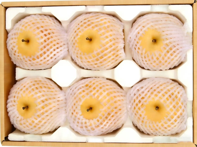 聚乳酸水果网兜