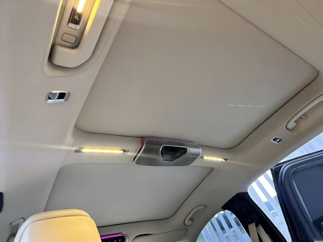 聚乳酸车内棚布